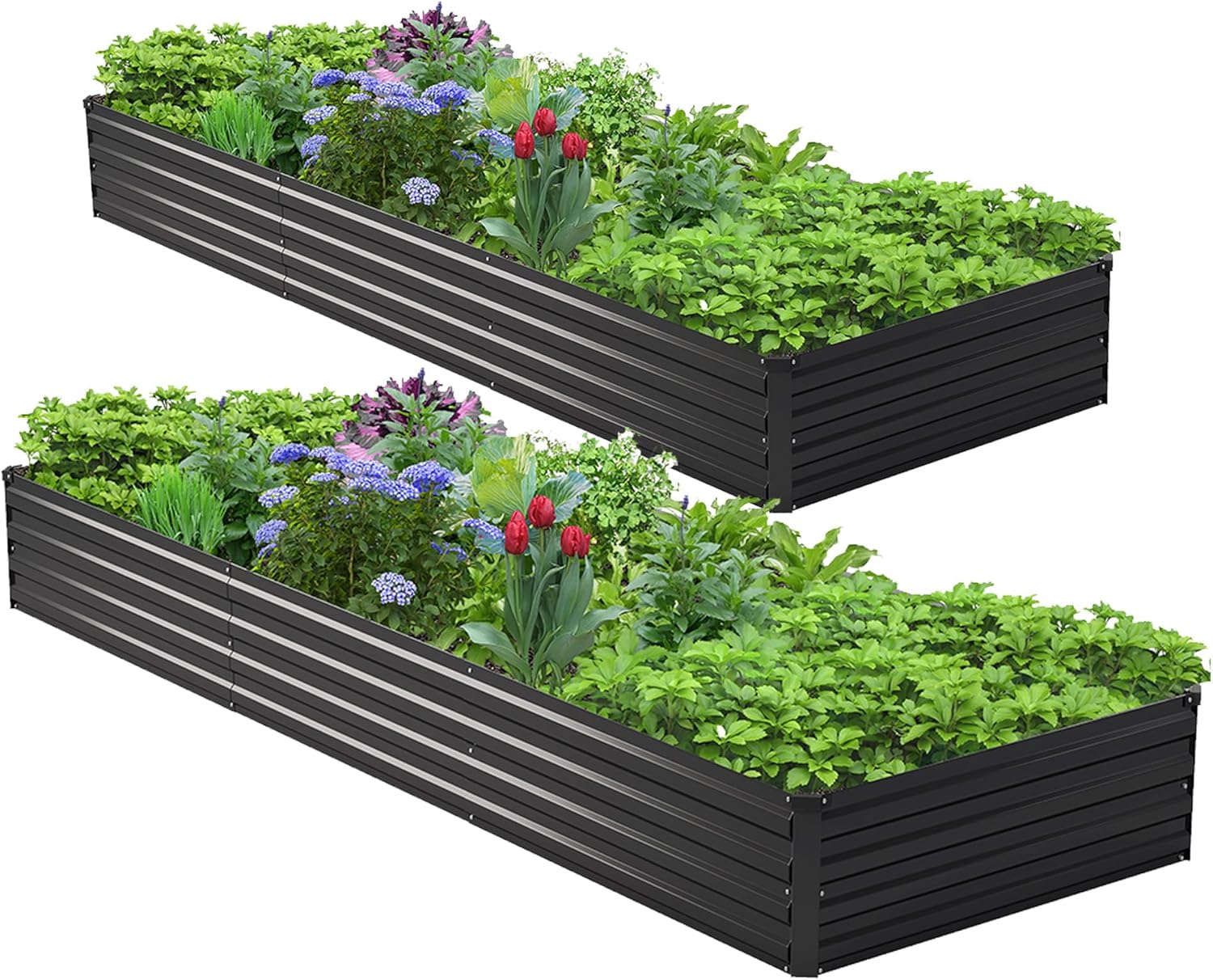 Planter Raised Metal - Kit de 2 Macetas Elevadas Galvanizadas