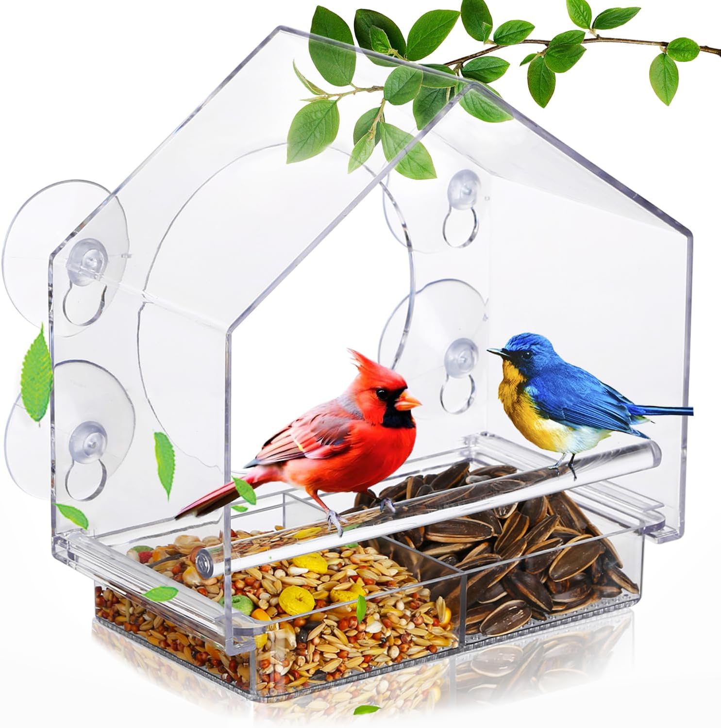 Comedero para pájaros rectangu - Outdoor Furniture Easy To Clean reseña y precio